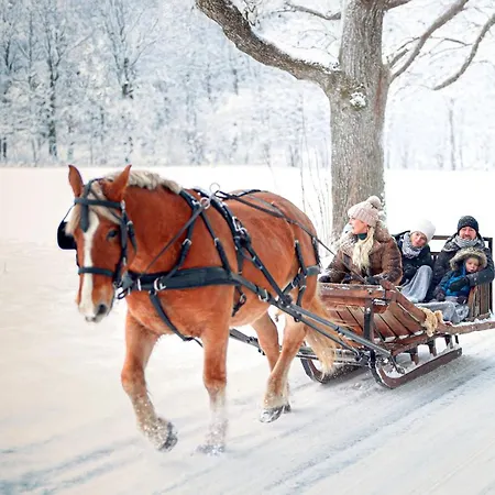 Metsapiiga Puhkemaja Vilina