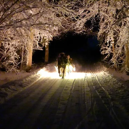 Metsapiiga Puhkemaja * Vilina