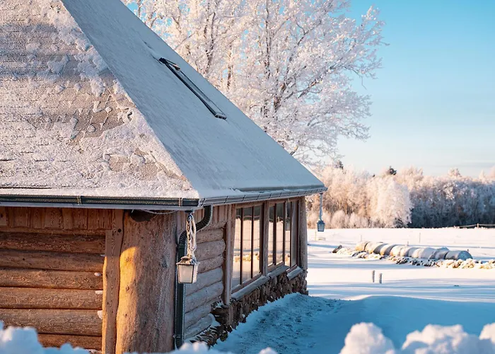 Metsapiiga Puhkemaja