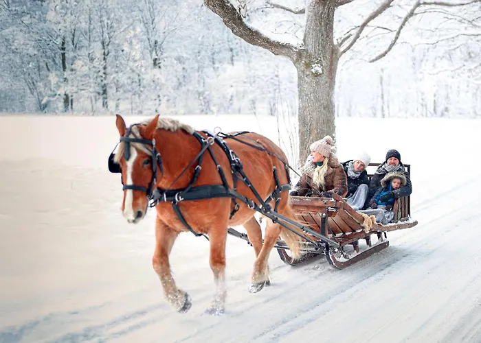 Metsapiiga Talu Vilina