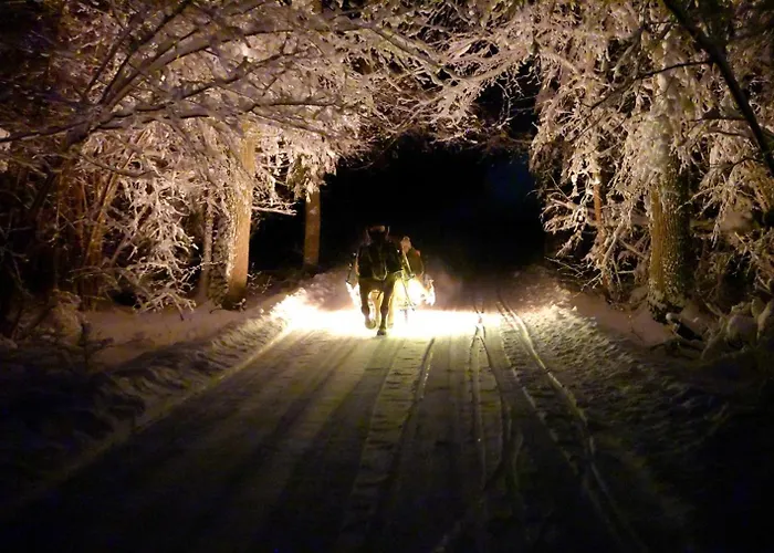 Metsapiiga Puhkemaja * Vilina